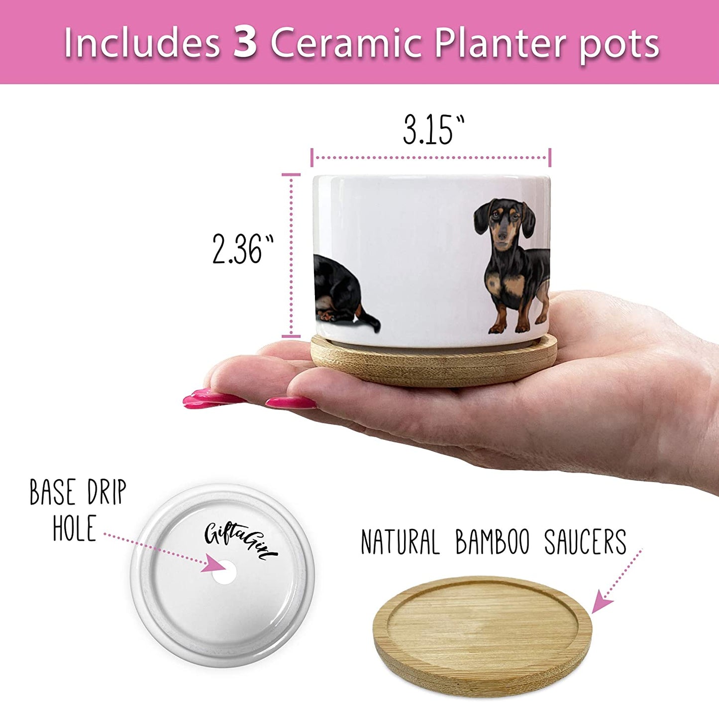 Dachshund Gifts for Women - Perfect for Birthday or Christmas, Our Weiner Dog Succulent Planters Are Unforgettable Daschund Gifts for Women and Arrive Beautifully Gift Boxed for Christmas