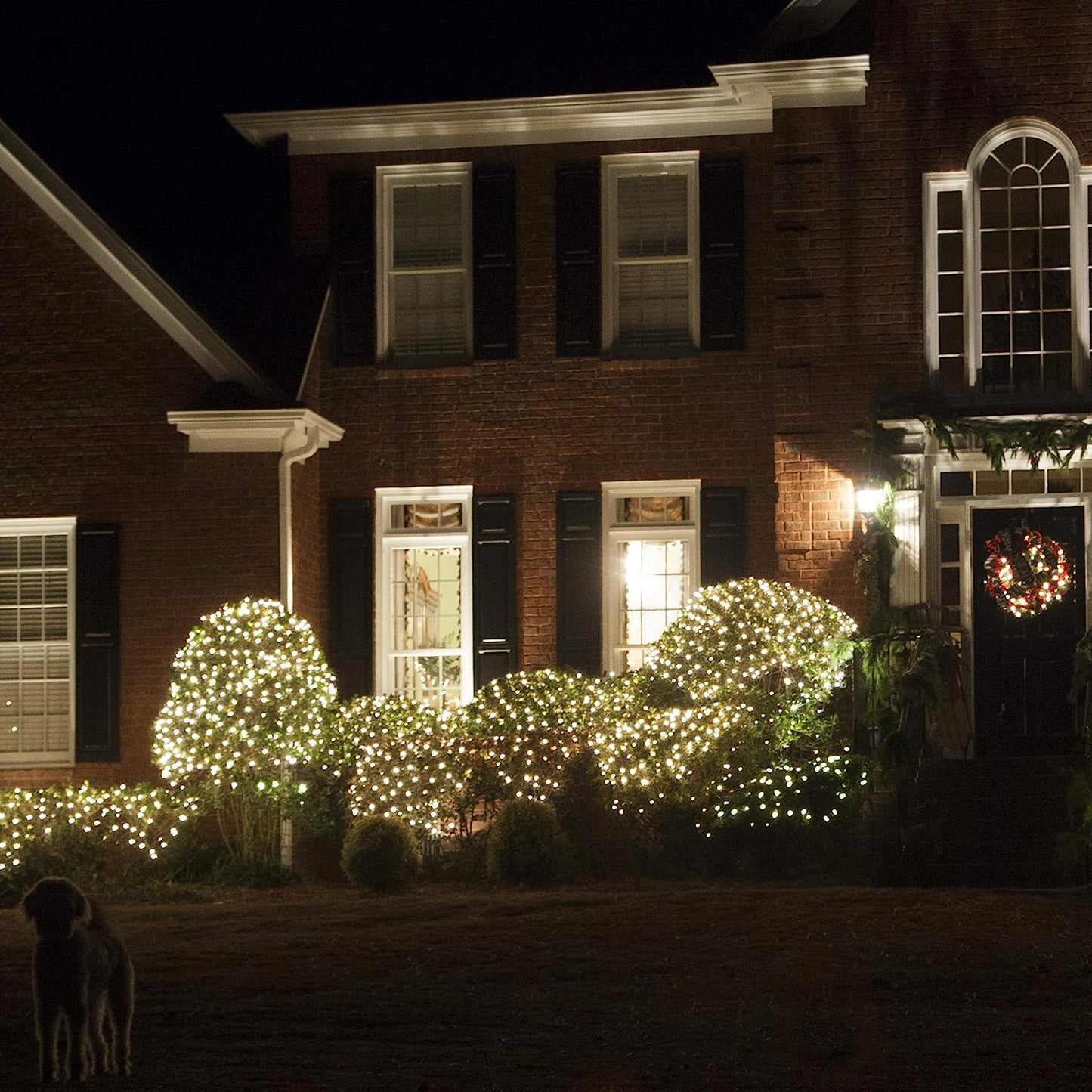 Outdoor Clear Christmas Net Lights, 150 Count Christmas Lights on Green Wire, 4 X 6 Ft Decorative Holiday Lighting for Hedges & Bushes